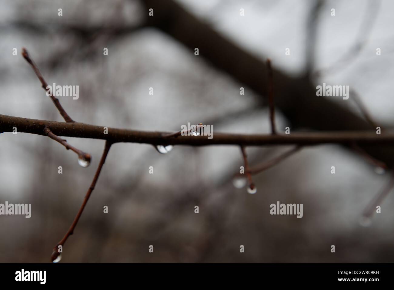 Natura bellezza e paesaggi al di là Foto Stock
