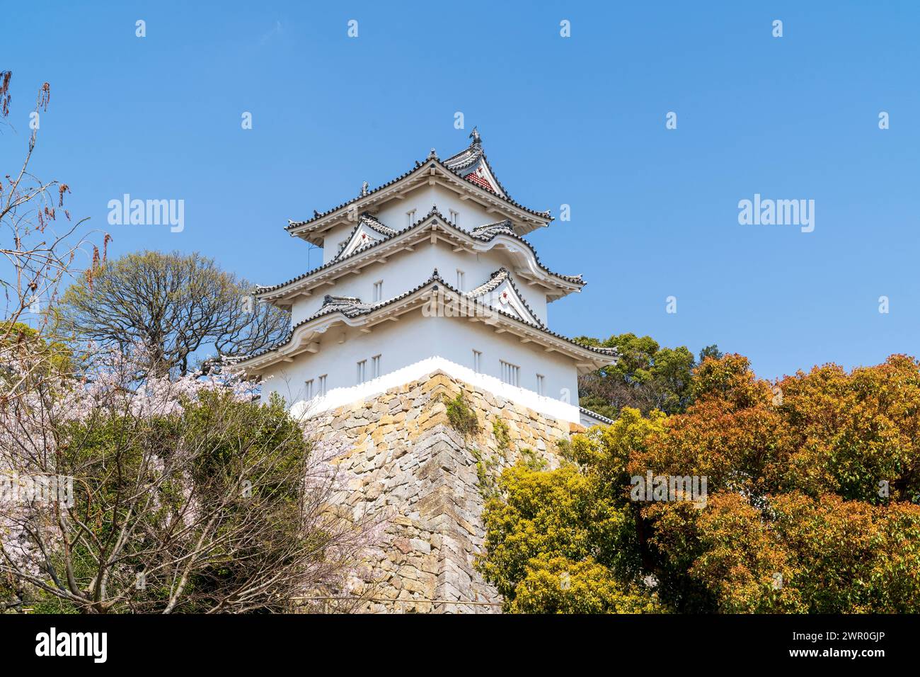 Vista ad angolo basso delle pareti di pietra di Ishigaki e della torretta bianca di Hitsujisaru, yagura, al castello di Akashi in Giappone in primavera. Cielo blu chiaro. Foto Stock