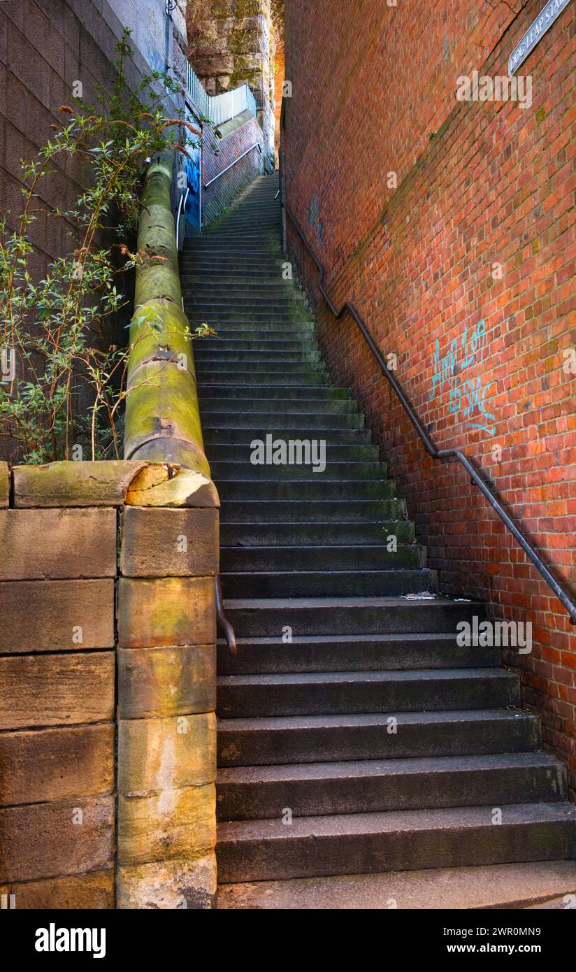 Dog Leap Steps nella parte vecchia di Newcastle Foto Stock