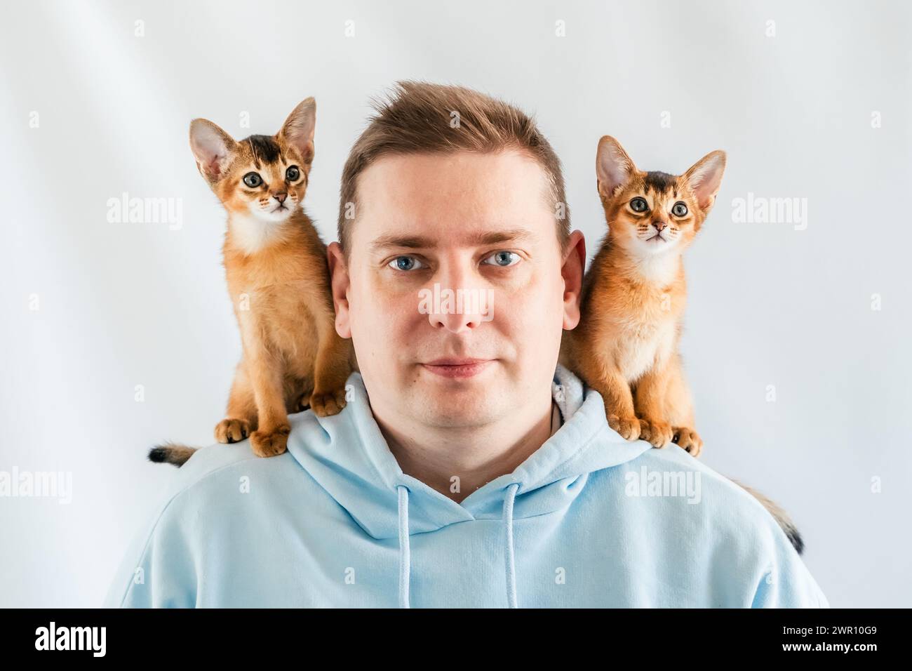 Uomo divertente sorridente con felpa blu con cappuccio e gemelli gatti abissini, piccoli gattini appena nati seduti sulle spalle. Sfondo bianco. Animali domestici felici, soffici domestici Foto Stock