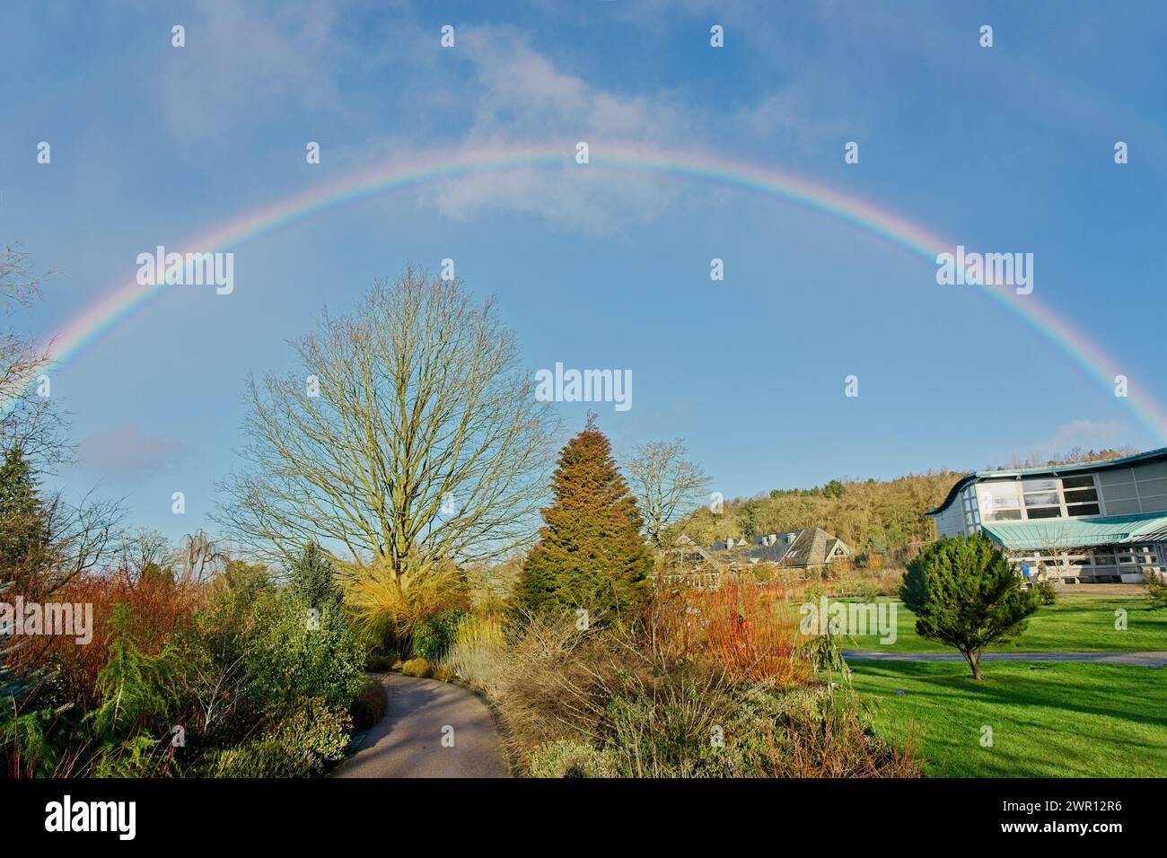 Un arcobaleno vibrante abbellisce il cielo sopra il RHS Garden di Harrogate, Inghilterra, in una soleggiata giornata invernale, aggiungendo un'eterea bellezza alla scena. Foto Stock