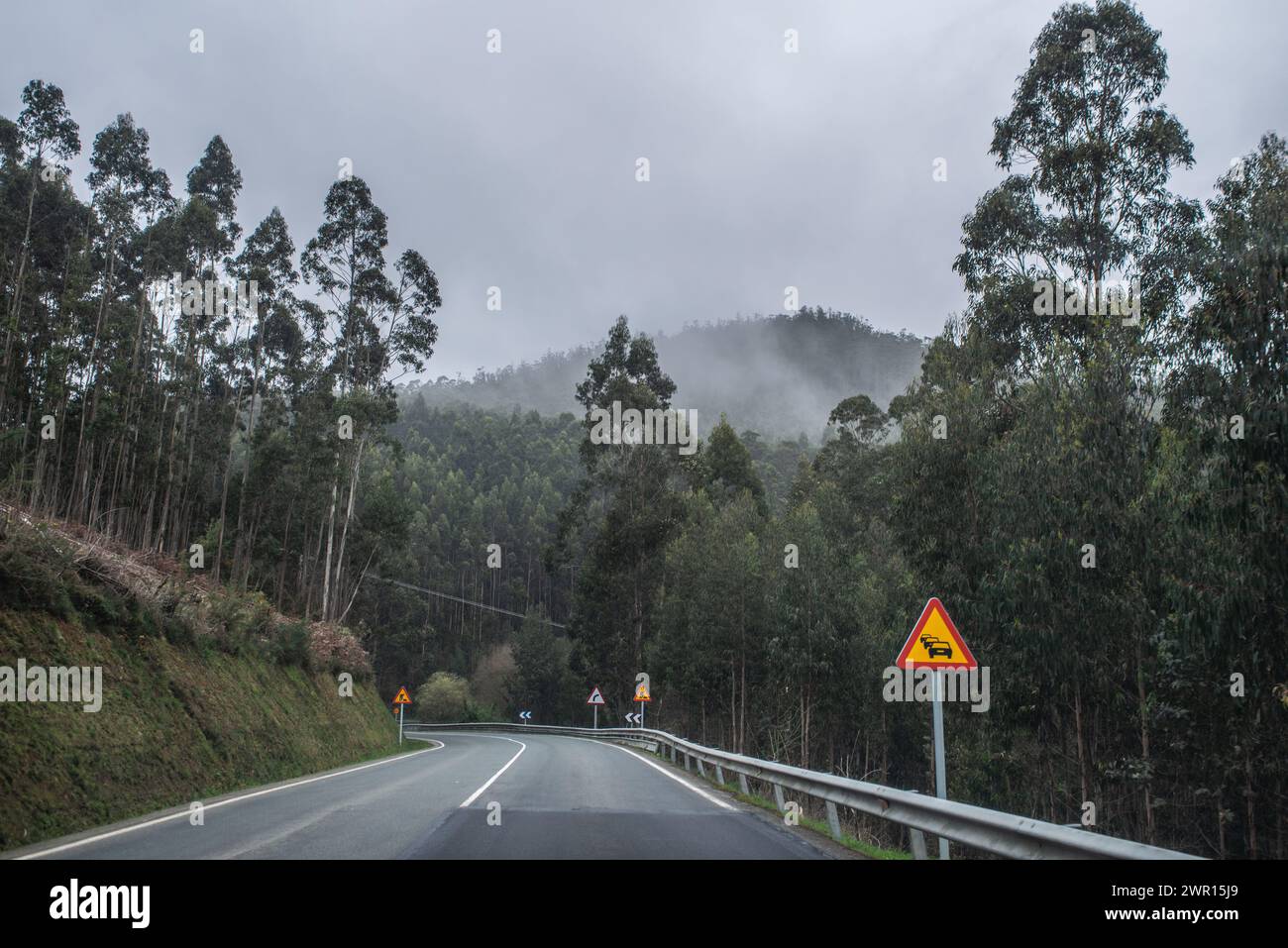 Nebbia mattutina, entroterra, Galizia, Spagna Foto Stock