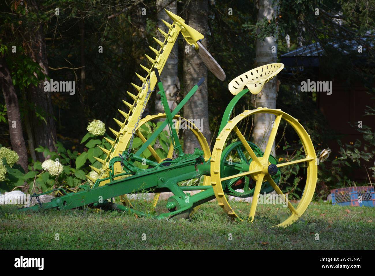 Primo piano di bullrushes alla fine dell'estate dell'Ontario Foto Stock