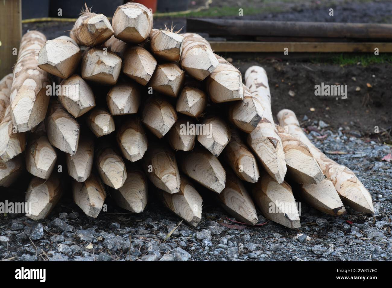 Nuovi pali di recinzione Foto Stock
