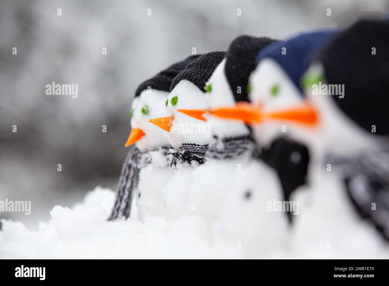 Bellissimi pupazzi di neve con il naso di carota in fila, tutti vestiti per un inverno di neve con cappelli e sciarpe Foto Stock