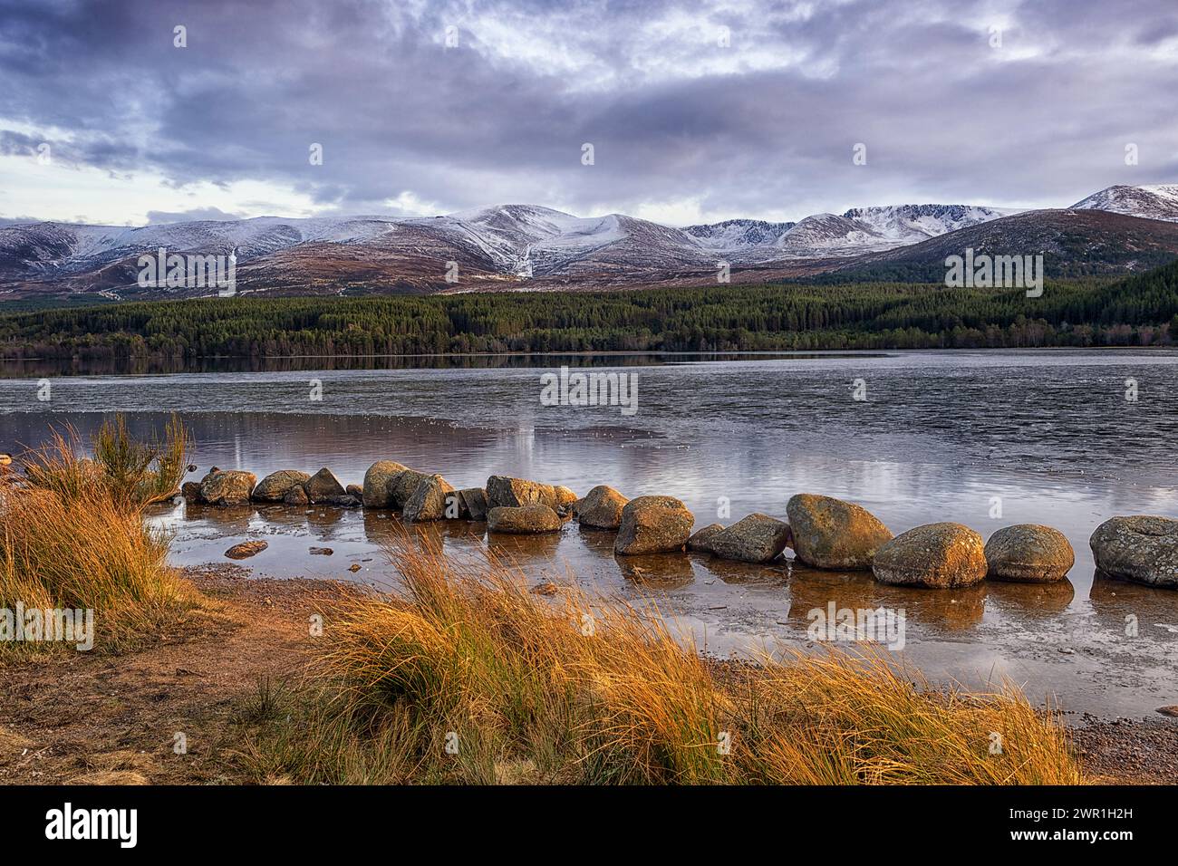 Loch Morlich è un lago d'acqua dolce situato nell'area di Badenoch e Strathspey delle Highland, in Scozia, vicino ad Aviemore. Foto Stock