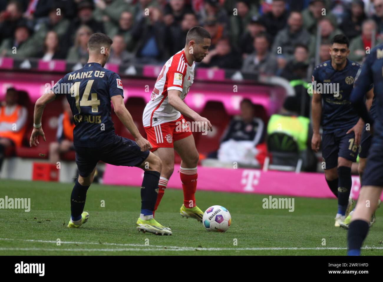 MONACO, Germania - 9. MARZO 2024: 22 Raphael GUERREIRO, in azione contro i giocatori del Mainz-05 14 Tom KRAUSS durante la partita di calcio della Bundesliga tra il Bayern Muenchen e il MAINZ 05 all'Allianz Arena di Monaco il 9. Marzo 2024 , Germania. DFL, Fussball, 8:1, (foto e copyright @ ATP Images / Arthur THILL (THILL Arthur / ATP / SPP) Foto Stock