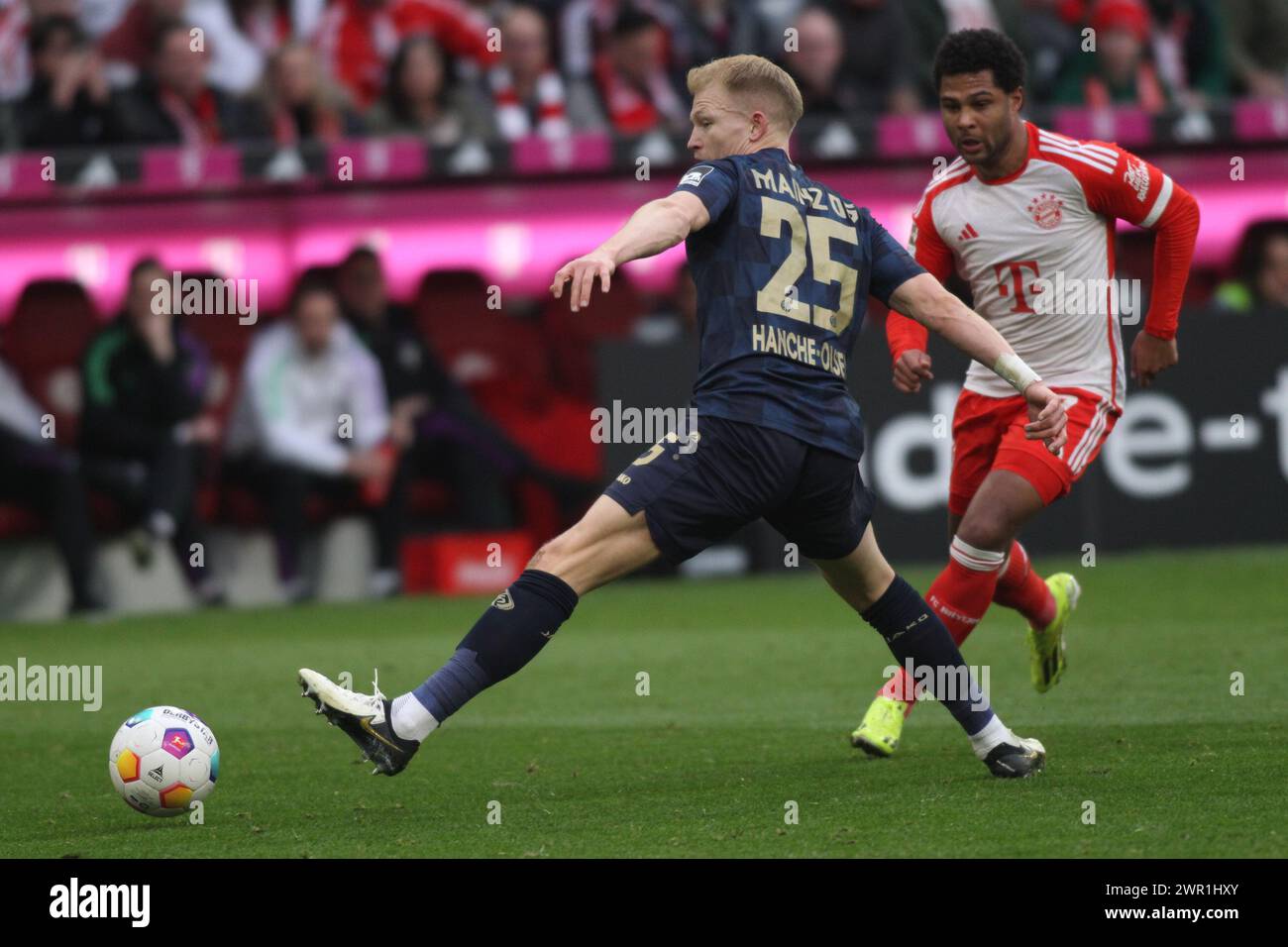 MONACO, Germania. , . 7 Serge GNABRY in azione contro 25 Andreas HANCHE-OLSEN di Magonza-05 durante la partita di Bundesliga tra il Bayern Muenchen e il MAINZ 05 all'Allianz Arena di Monaco il 9. Marzo 2024, Germania. DFL, Fussball, 8:1, (foto e copyright @ ATP Images/Arthur THILL (THILL Arthur/ATP/SPP) crediti: SPP Sport Press Photo. /Alamy Live News Foto Stock