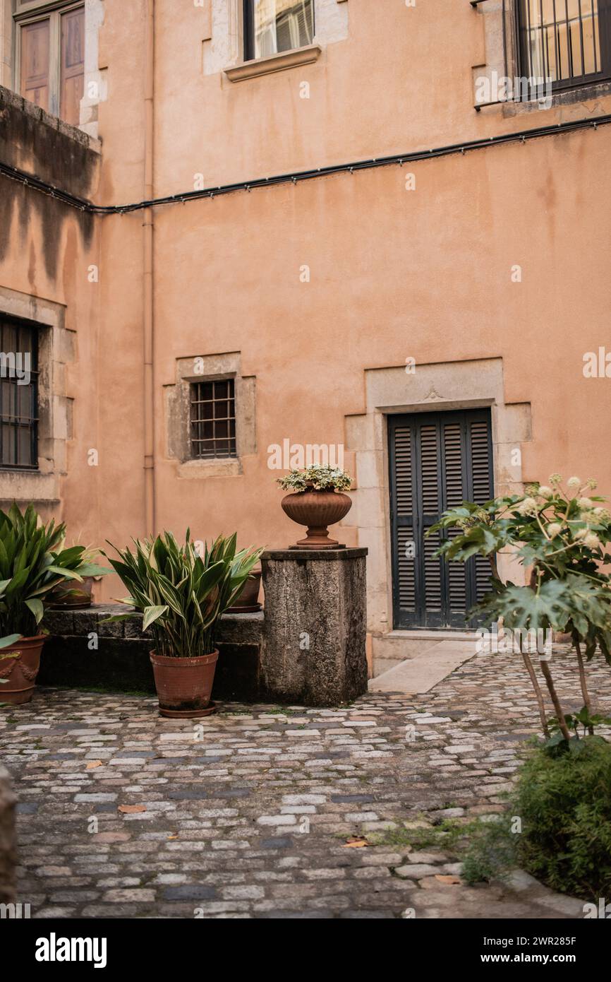 Un pittoresco giardino di piante in vaso a Girona, Spagna Foto Stock