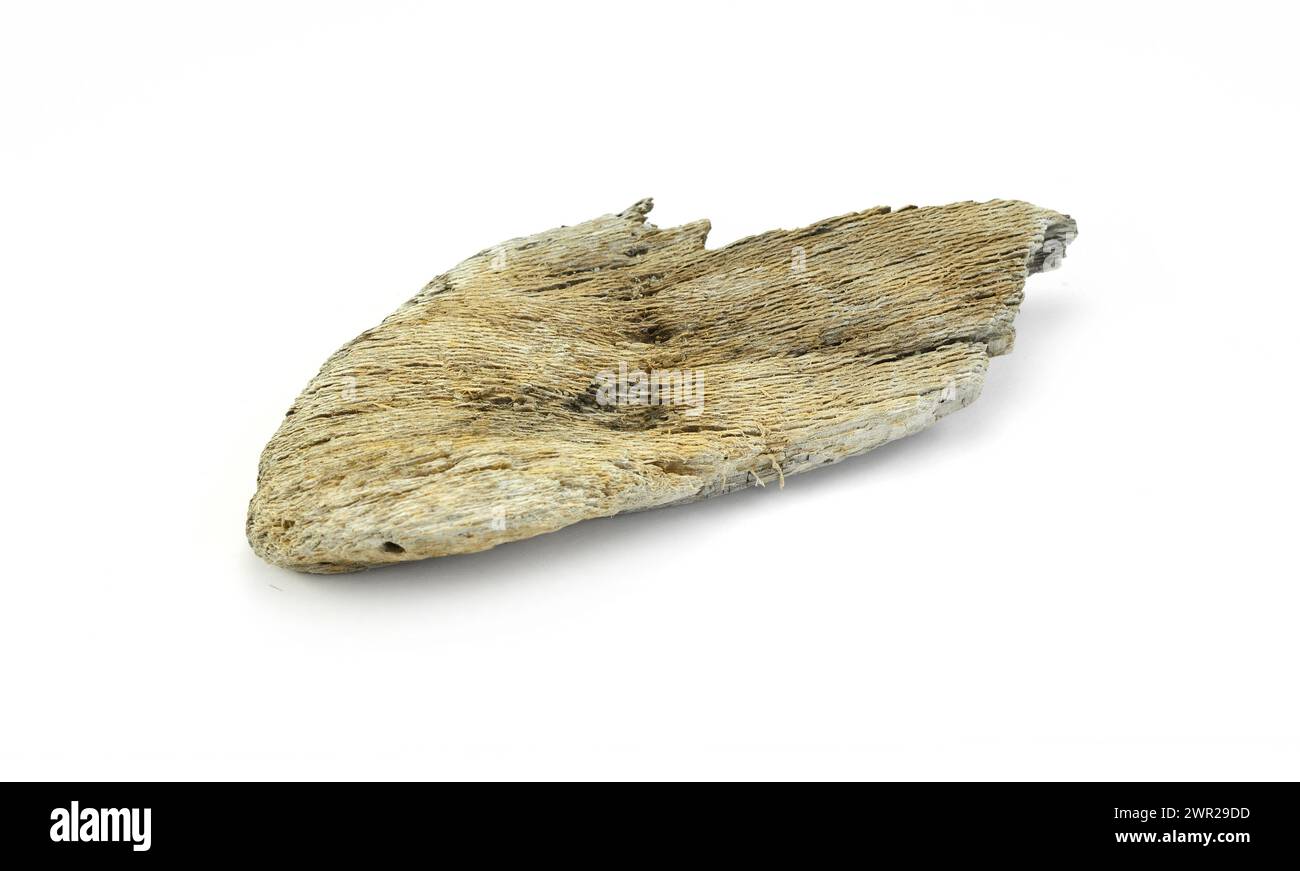 Frammento di materiale isolato su sfondo bianco. Bogwood decorativo. Foto Stock