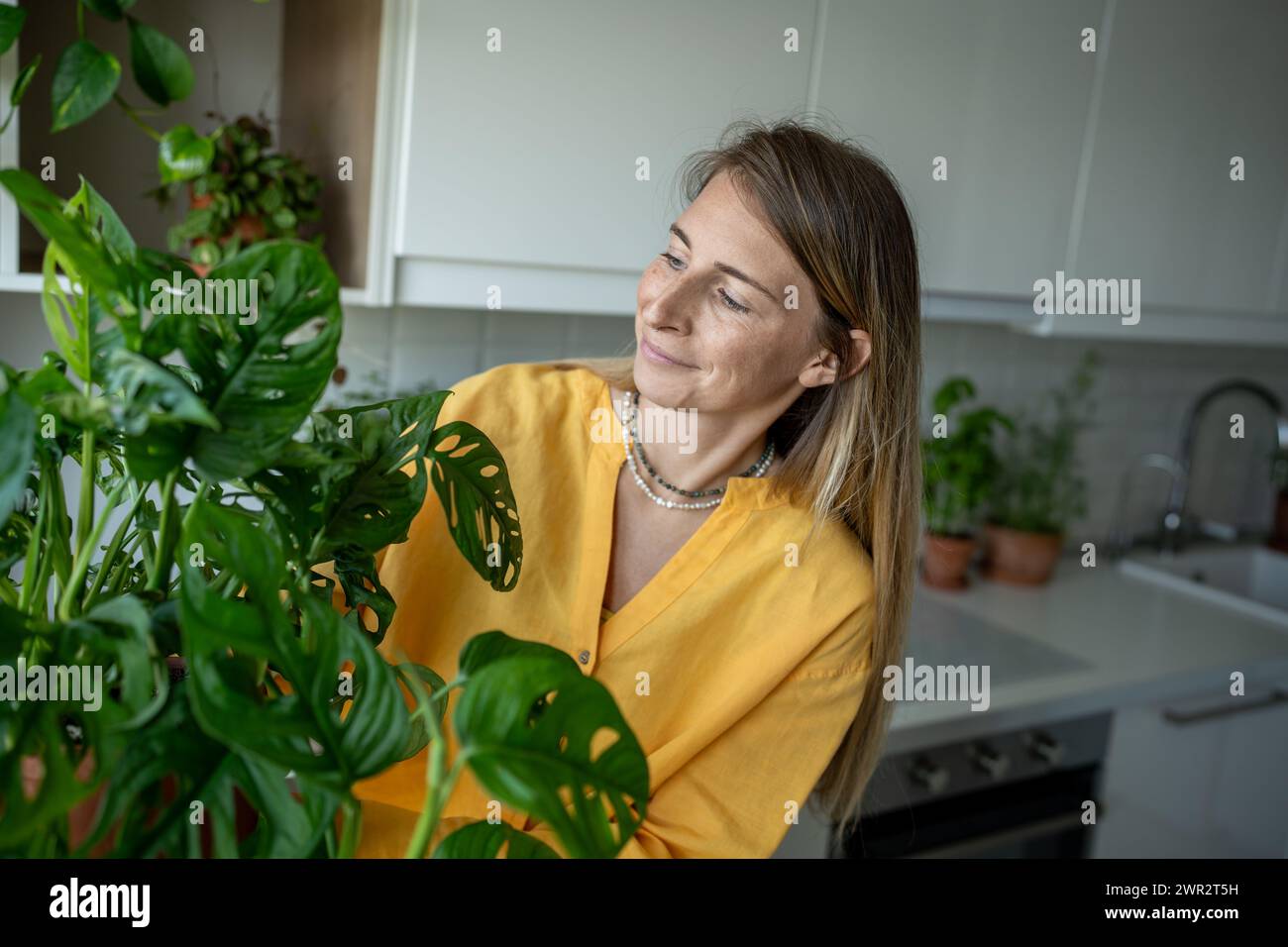 Una donna sorridente esamina l'impianto Monstera Monkey. Giardinaggio domestico, hobby. Foto Stock