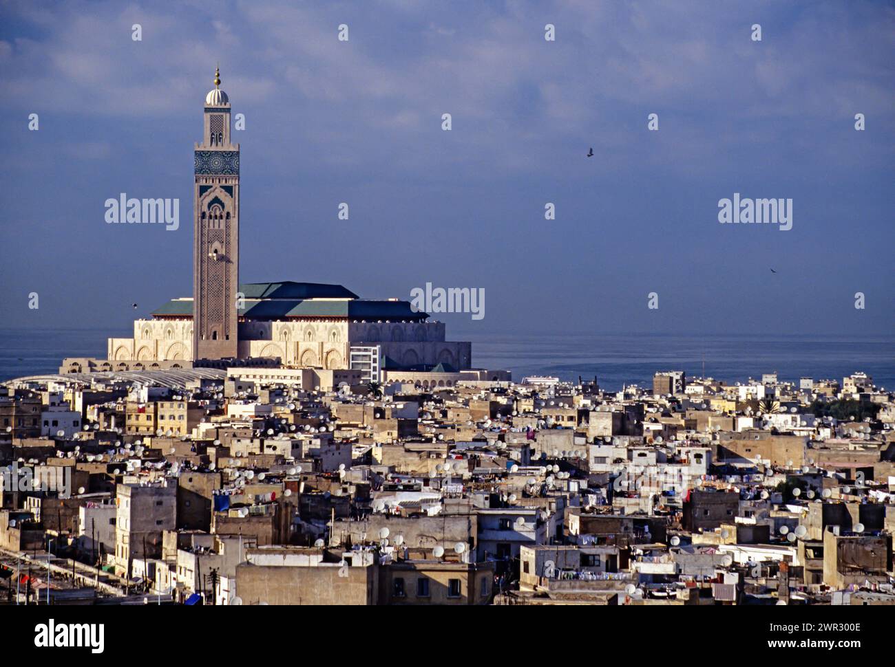 Casablanca, Marocco. I piatti satellitari coprono i tetti della Medina di Casablanca, la Moschea di Hassan II sullo sfondo. Foto Stock