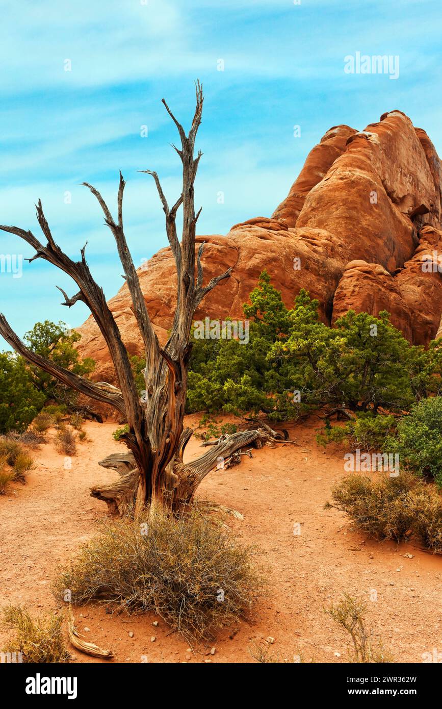 Paesaggio del deserto di Moab nello Utah Foto Stock