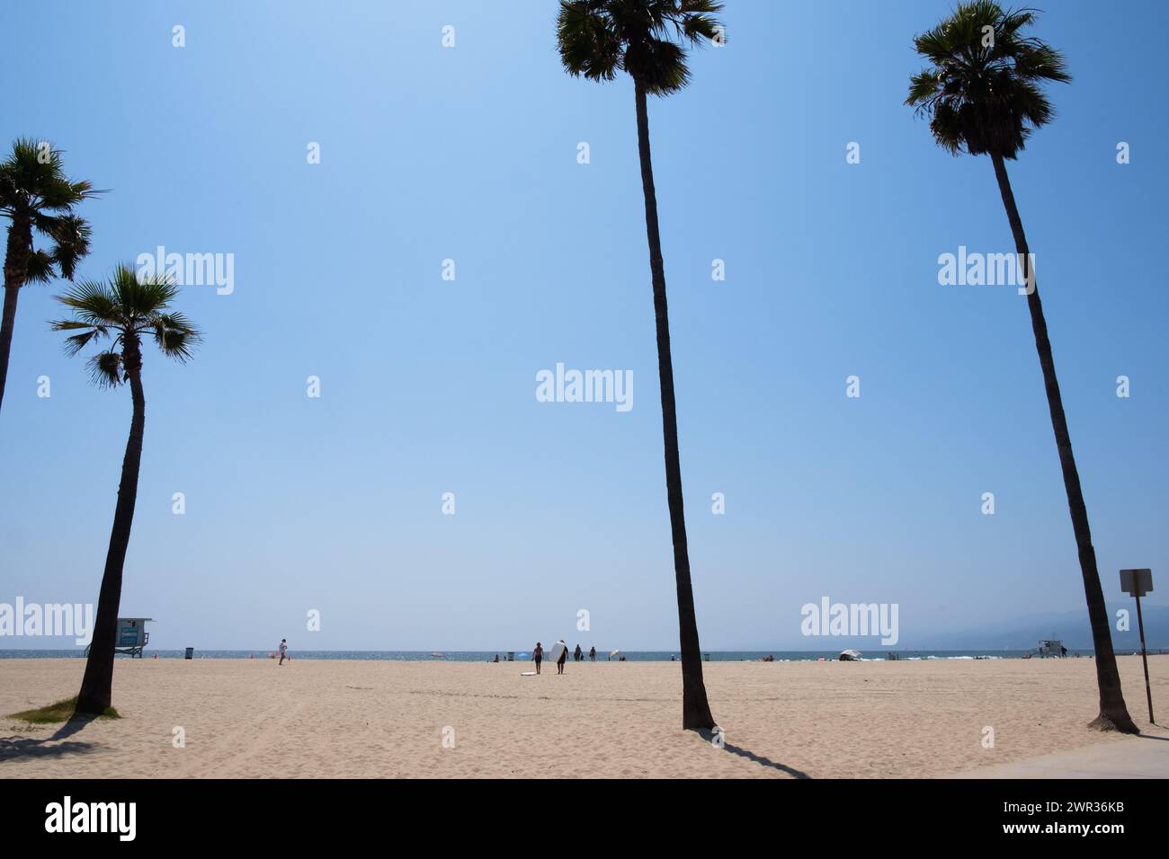 Venice Beach, California, Stati Uniti, costa del Pacifico USA. Foto Stock