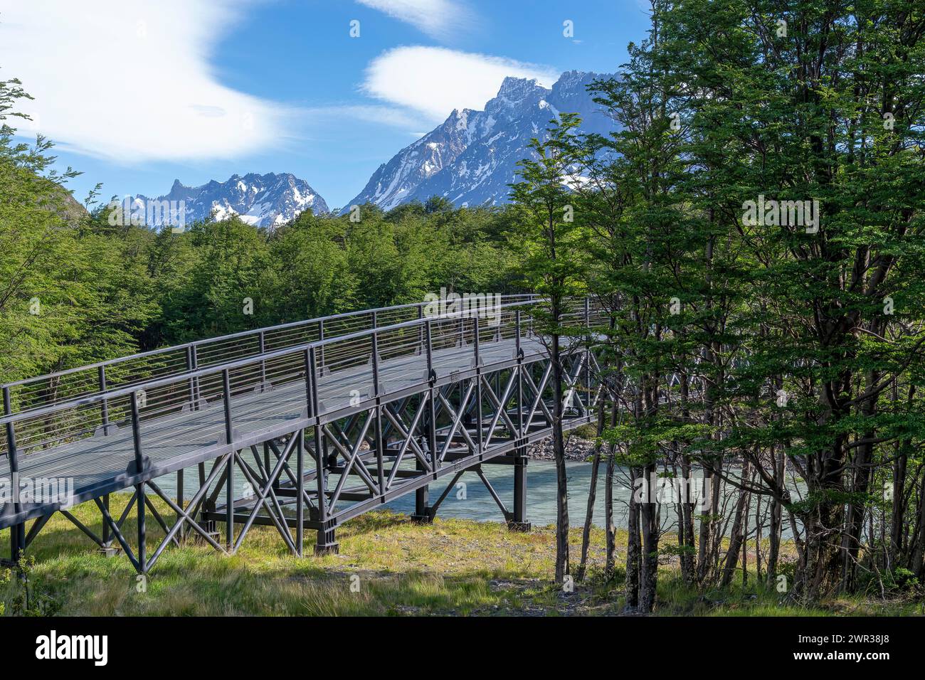 Ponte su un affluente del Lago Grey, Parco Nazionale Torres del Paine, Parque Nacional Torres del Paine, Cordillera del Paine, Torri del cielo Azzurro Foto Stock