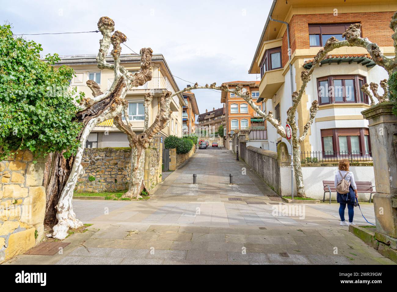 Le strade residenziali con alberi senza foglie lavoravano in modo ornamentale. Getxo-Paesi Baschi-Spagna.13-3-2024 Foto Stock