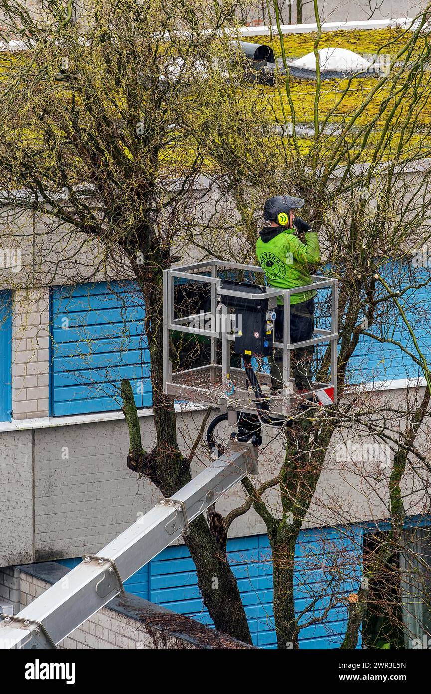 Cura degli alberi con piattaforma di lavoro, Kempten, Allgaeu, Baviera, Germania Foto Stock