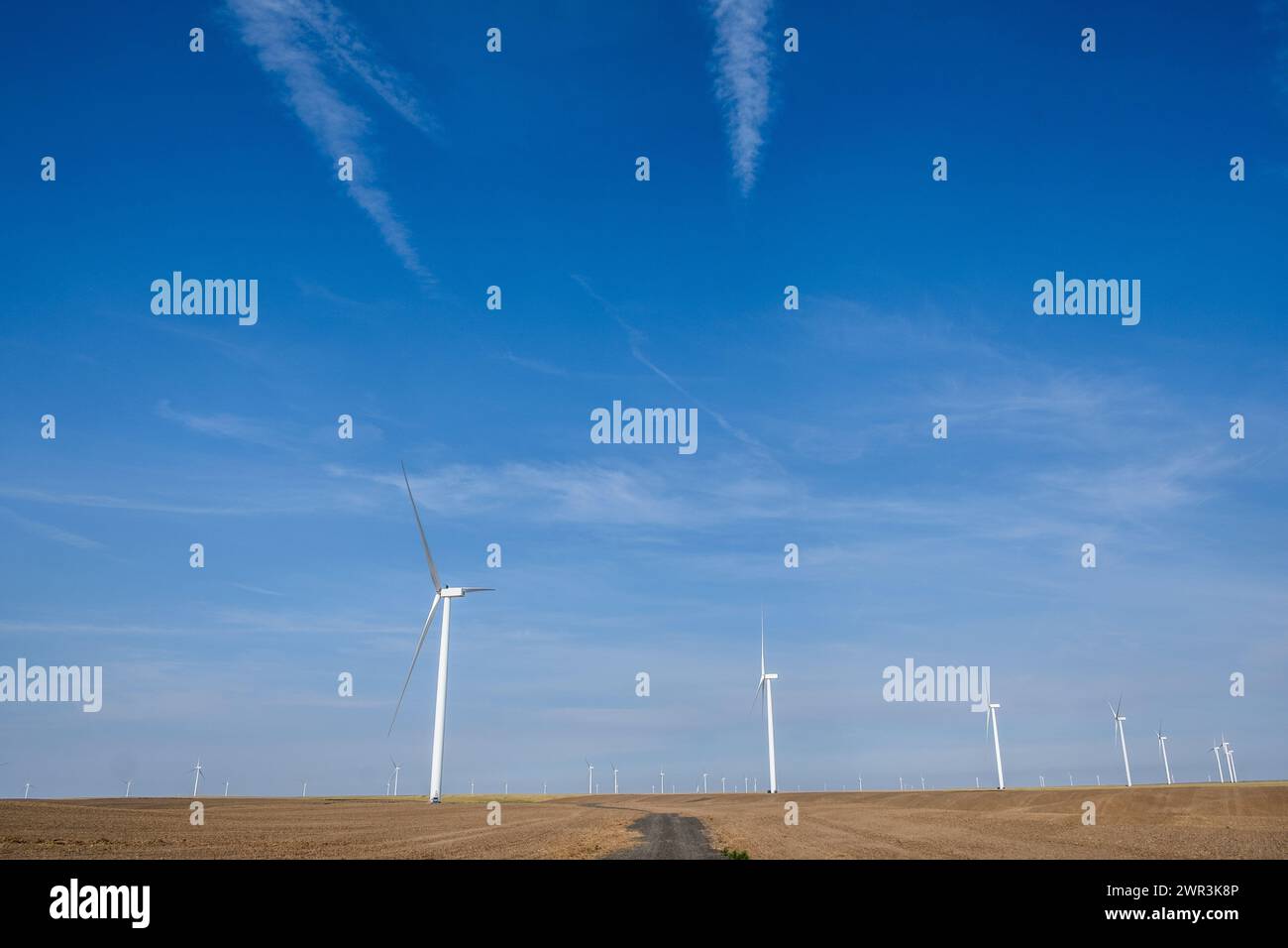 Le turbine eoliche si distinguono contro un cielo blu nello stato di Washington orientale, negli Stati Uniti, nel Pacifico nord-occidentale. Foto Stock