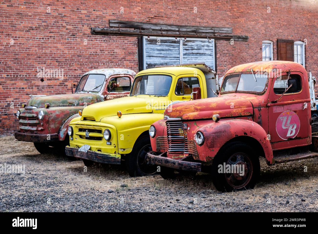 Vecchi camion arruolati a Sprague, Washington, Stati Uniti, nella parte orientale dello stato di Washington, nel Pacifico nord-occidentale. Foto Stock