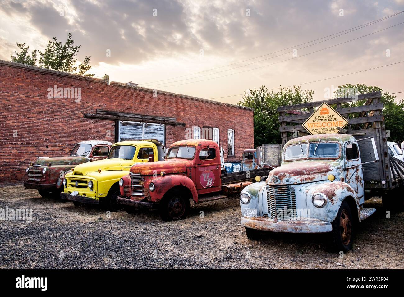 Vecchi camion arruolati a Sprague, Washington, Stati Uniti, nella parte orientale dello stato di Washington, nel Pacifico nord-occidentale. Foto Stock