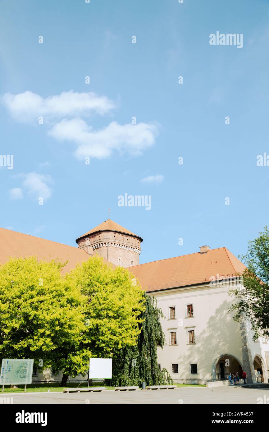 Il castello di Wawel a Cracovia, Polonia Foto Stock