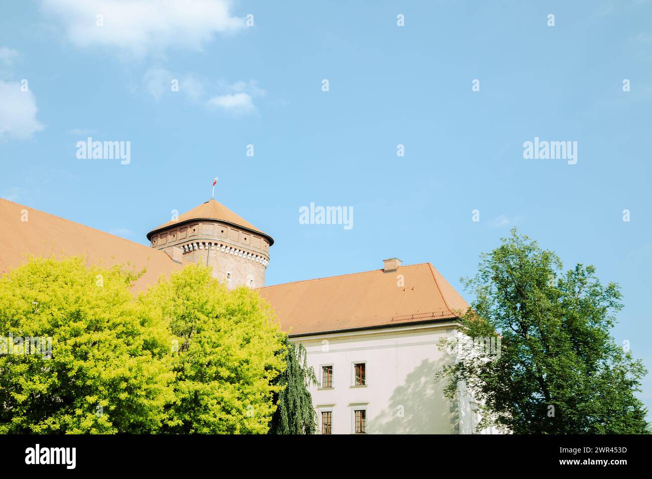 Il castello di Wawel a Cracovia, Polonia Foto Stock