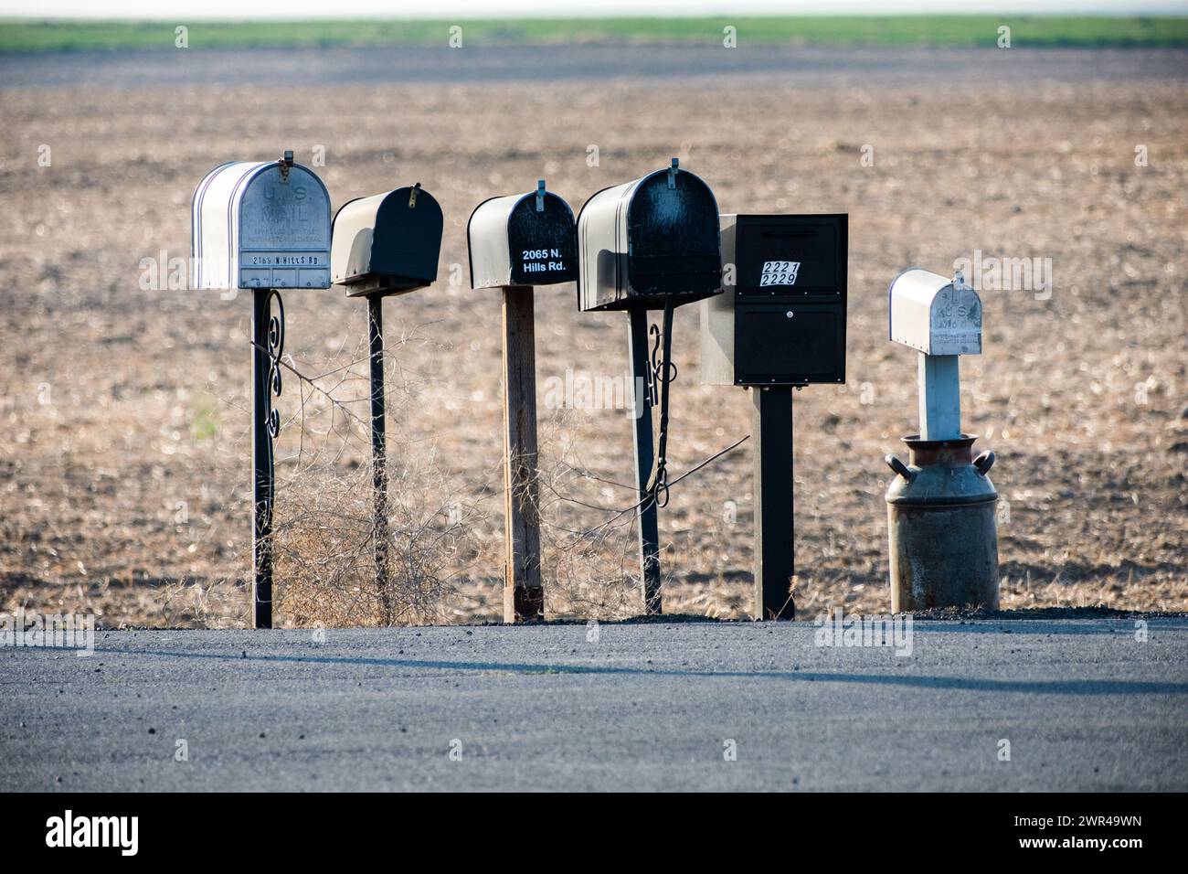 Le cassette postali per la consegna nelle aree rurali si trovano lungo una strada di campagna nella parte orientale dello stato di Washington, negli Stati Uniti Foto Stock