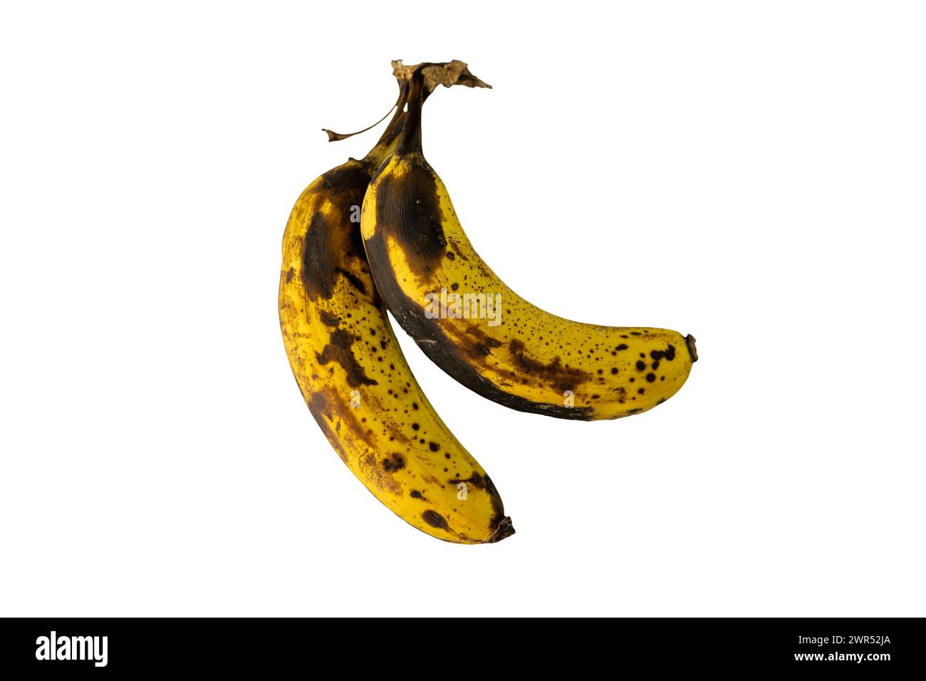 Banane vecchie e troppo mature su sfondo bianco isolato Foto Stock