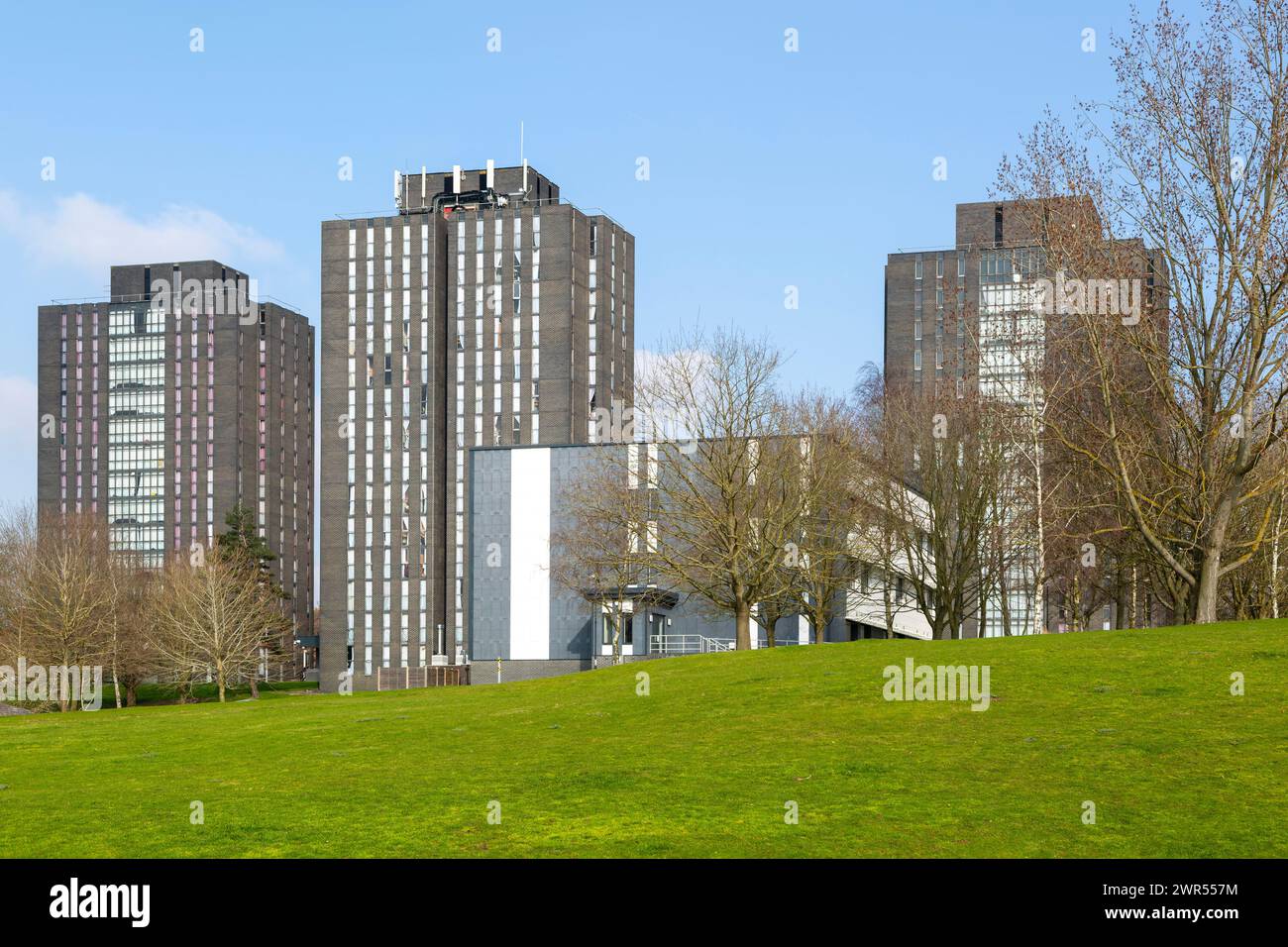 Grattacieli per studenti, North Towers, University of Essex, Colchester, Essex, Inghilterra, Regno Unito Foto Stock