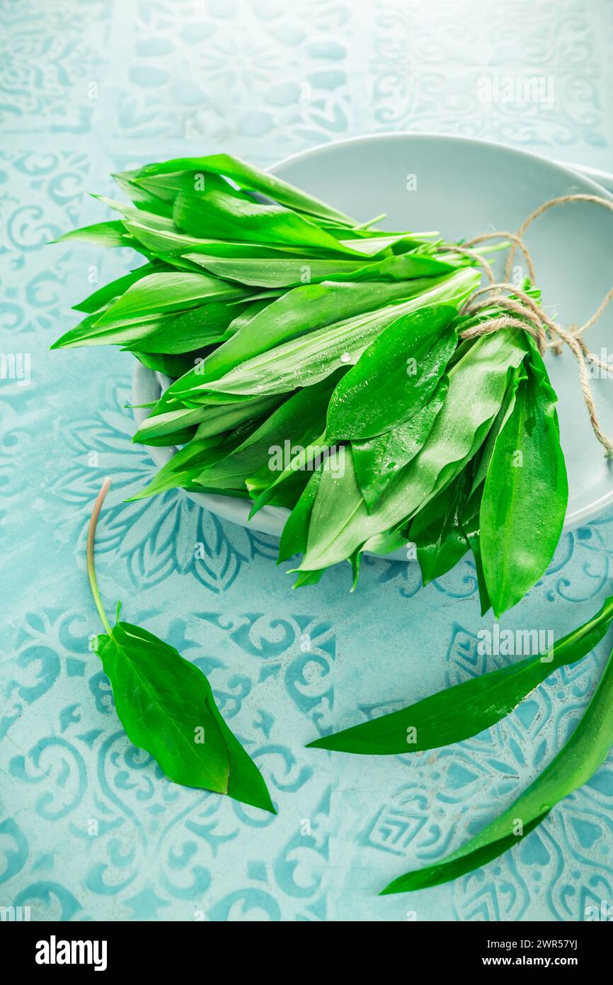 Ramson, aglio selvatico (allium ursinum) sul tavolo della cucina Foto Stock