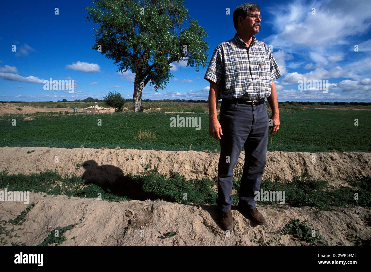 utenti dell'acqua Foto Stock