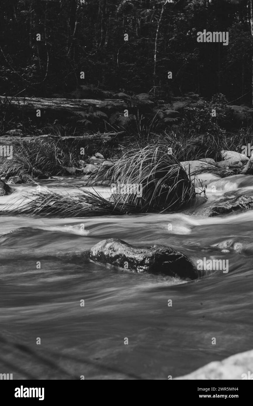 Un colpo in scala di grigi di rocce con acqua corrente Foto Stock