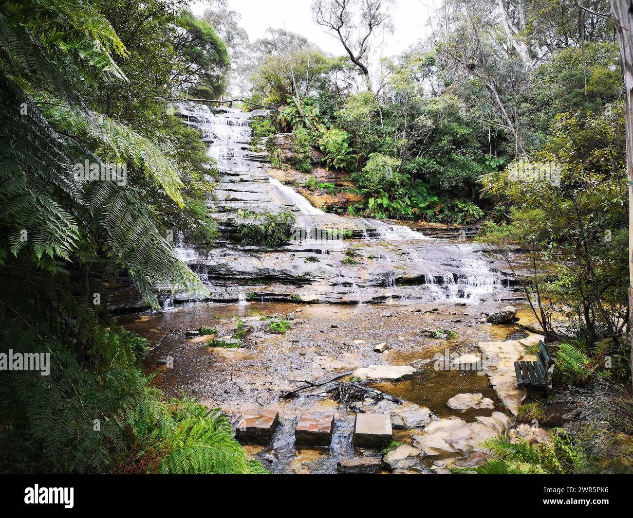 Una scenografica cascata nella foresta che si getta sulle rocce. Regione delle Blue Mountains, Australia Foto Stock