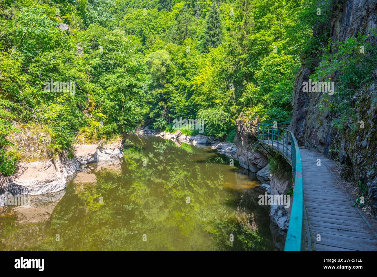 Sentiero con ponte di legno sopra il fiume Jizera. Rieger Trail tra Semily e Spalov. Cechia Foto Stock
