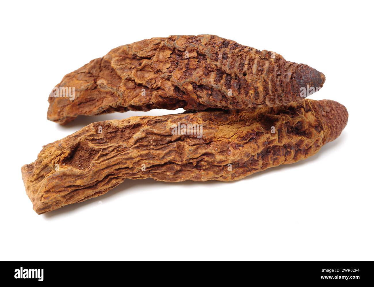 Medicina tradizionale cinese su sfondo bianco Foto Stock