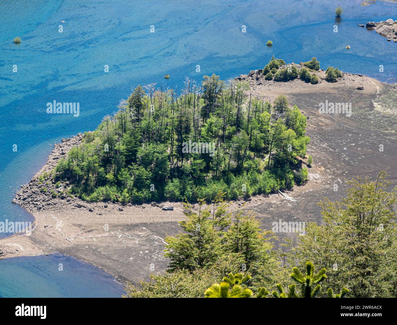 Penisola sul lago Conguillio, foresta di araucaria, Parco Nazionale di Conguillio, Cile Foto Stock