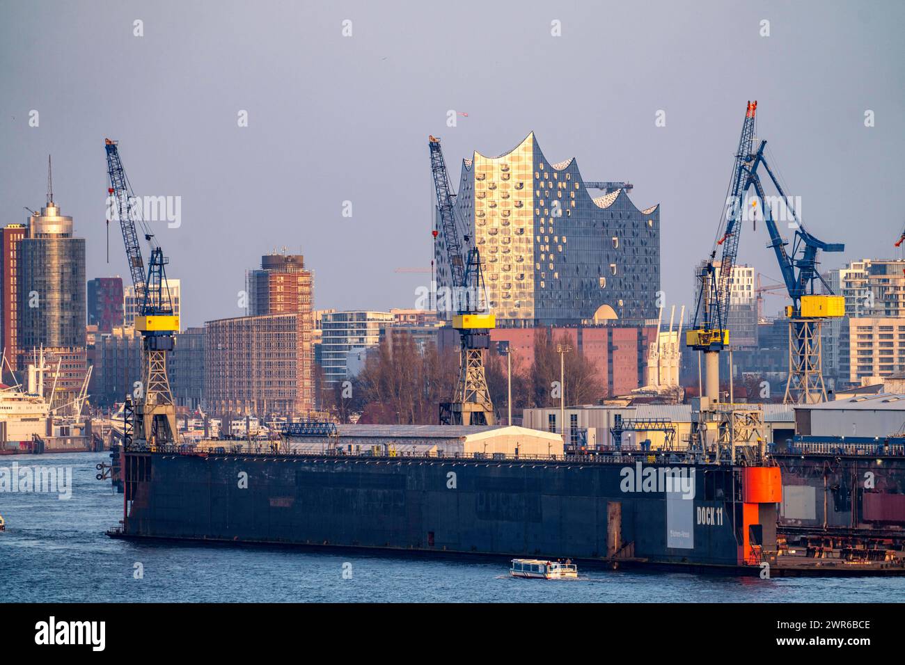 Hamburger Hafen, Schiffswerft Blohm Voss, Trockdock, Dock 11, im Hintergrund die Elbphilharmonie, Amburgo, Deutschland Blohm Voss Werft *** Porto di Amburgo, cantiere navale Blohm Voss, bacino di carenaggio, Dock 11, sala concerti Elbphilharmonie sullo sfondo, Amburgo, Germania cantiere Blohm Voss Foto Stock