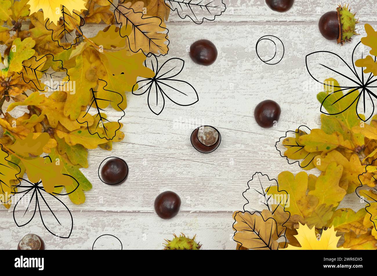 Autunno, autunno: Schizzi di foglie gialle, castagne e foglie su uno sfondo di legno chiaro. Foto Stock
