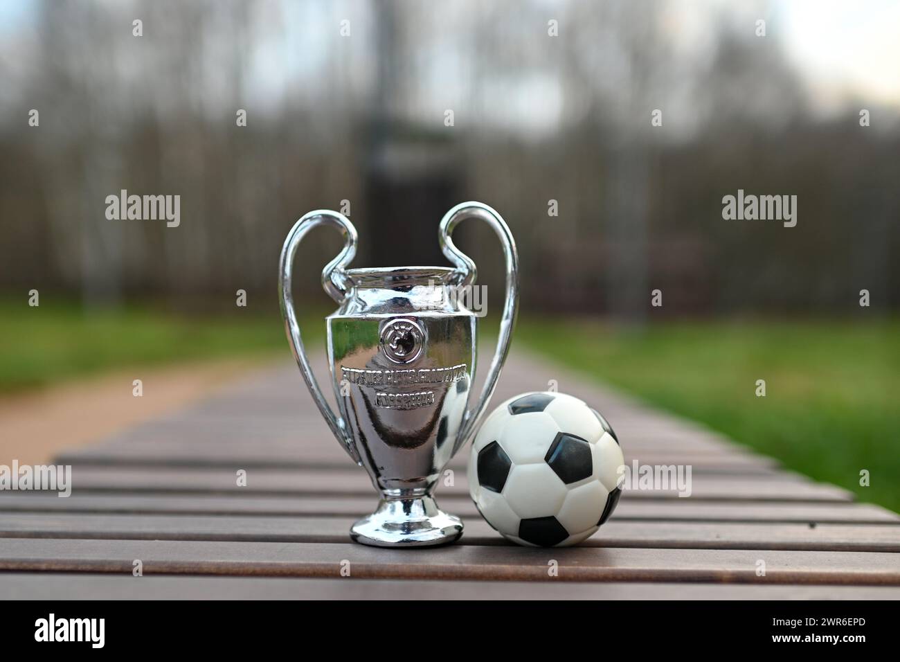 8 novembre 2023, Londra, Regno Unito. UEFA Champions League Cup su una panchina di legno nel parco. Foto Stock