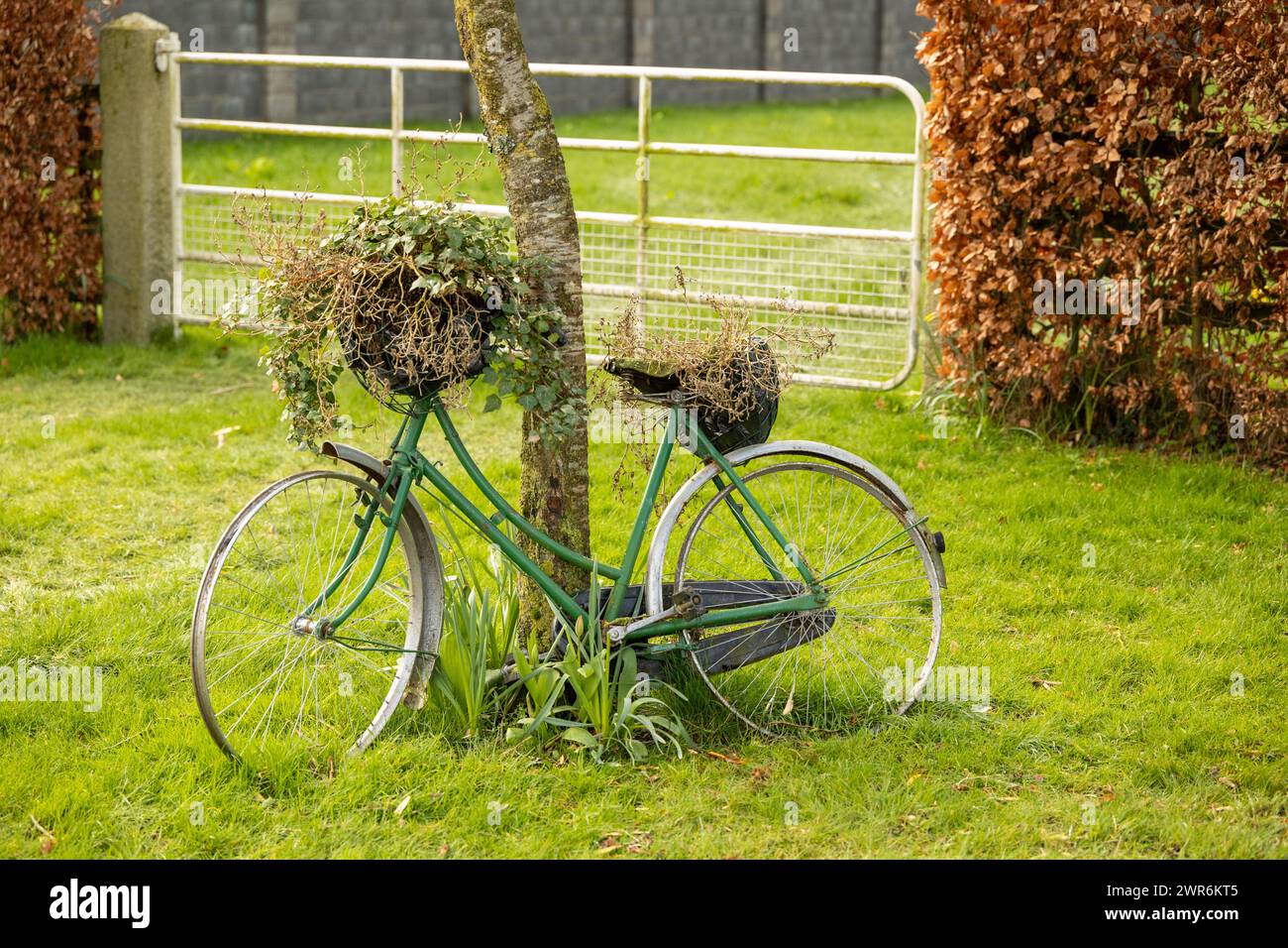 Bicicletta, Irlanda Foto Stock