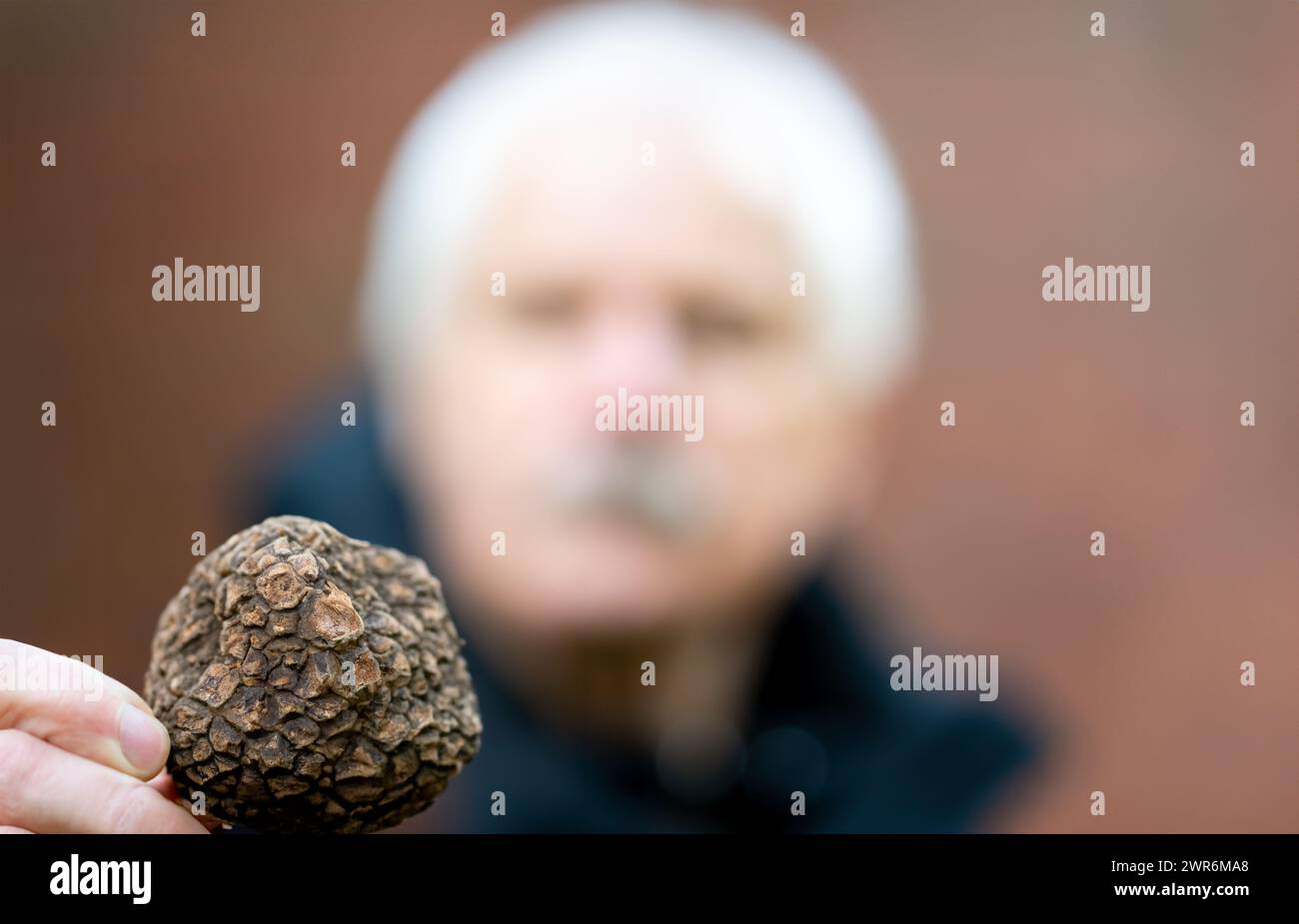 Cittadino anziano con un tartufo nero. Foto Stock