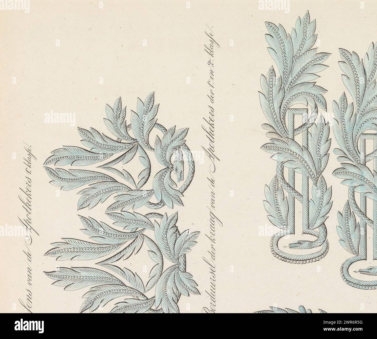 Ricamo sull'uniforme dei farmacisti del servizio medico, 1845, ricamo dei colletti e dei chirurghi dei farmacisti di prima e seconda classe, nonché le ecussoni per i farmacisti di prima classe (titolo sull'oggetto), ricamo sull'uniforme dei farmacisti del servizio medico. Illustrazione in un libro del 1845 sulle uniformi e l'abbigliamento dell'esercito, della marina e della milizia olandese nei Paesi Bassi e nei territori d'oltremare., stampatore: Willem Charles Magnenat, editore: Louis Salomon Leman, stampatore: Paesi Bassi, editore: Amsterdam, 1845 Foto Stock