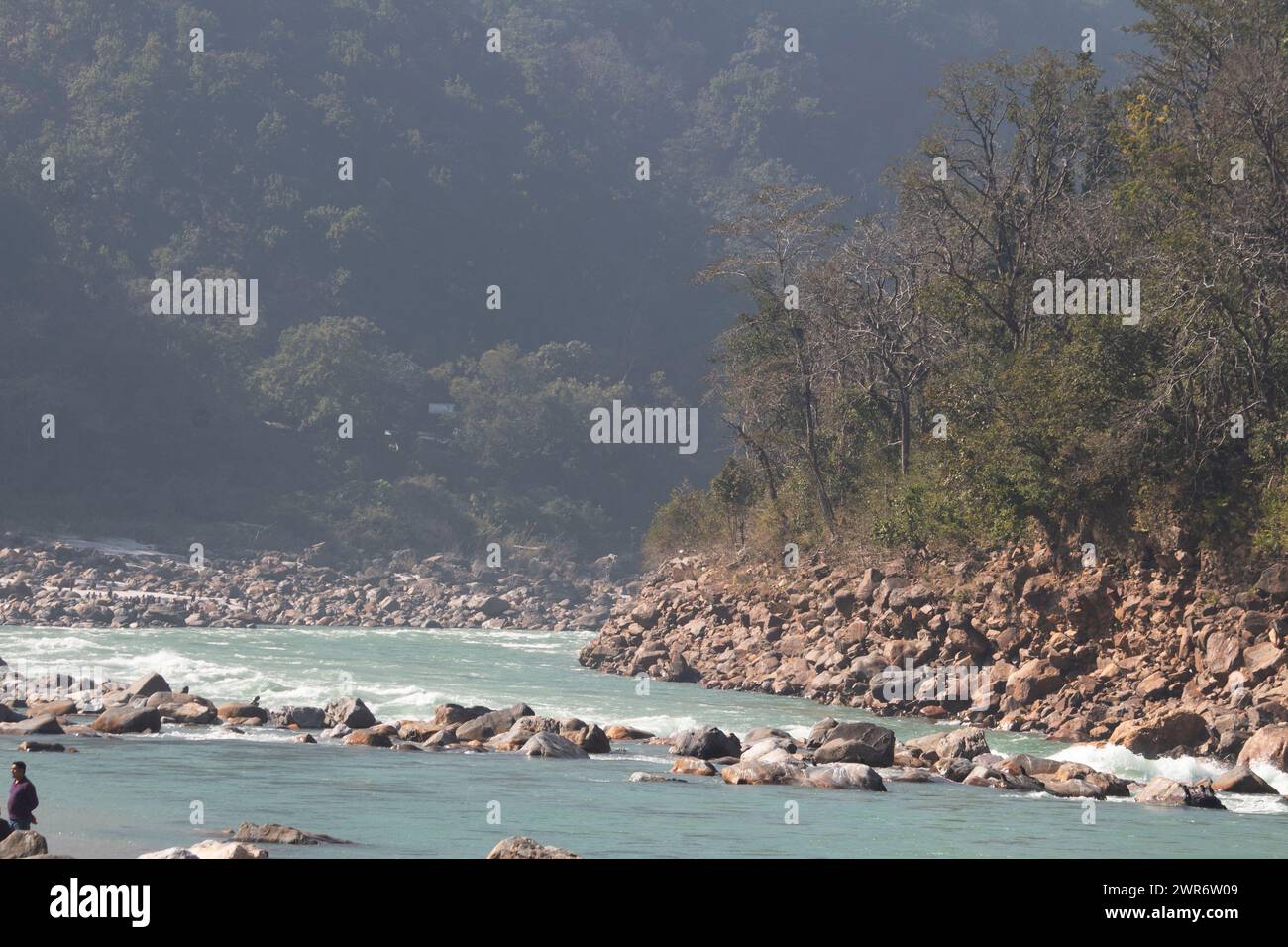 L'armonia della natura a Rishikesh, il fiume scorre graziosamente attraverso rocce e alberi, dipingendo un quadro sereno di tranquillità, Uttarakhand Foto Stock