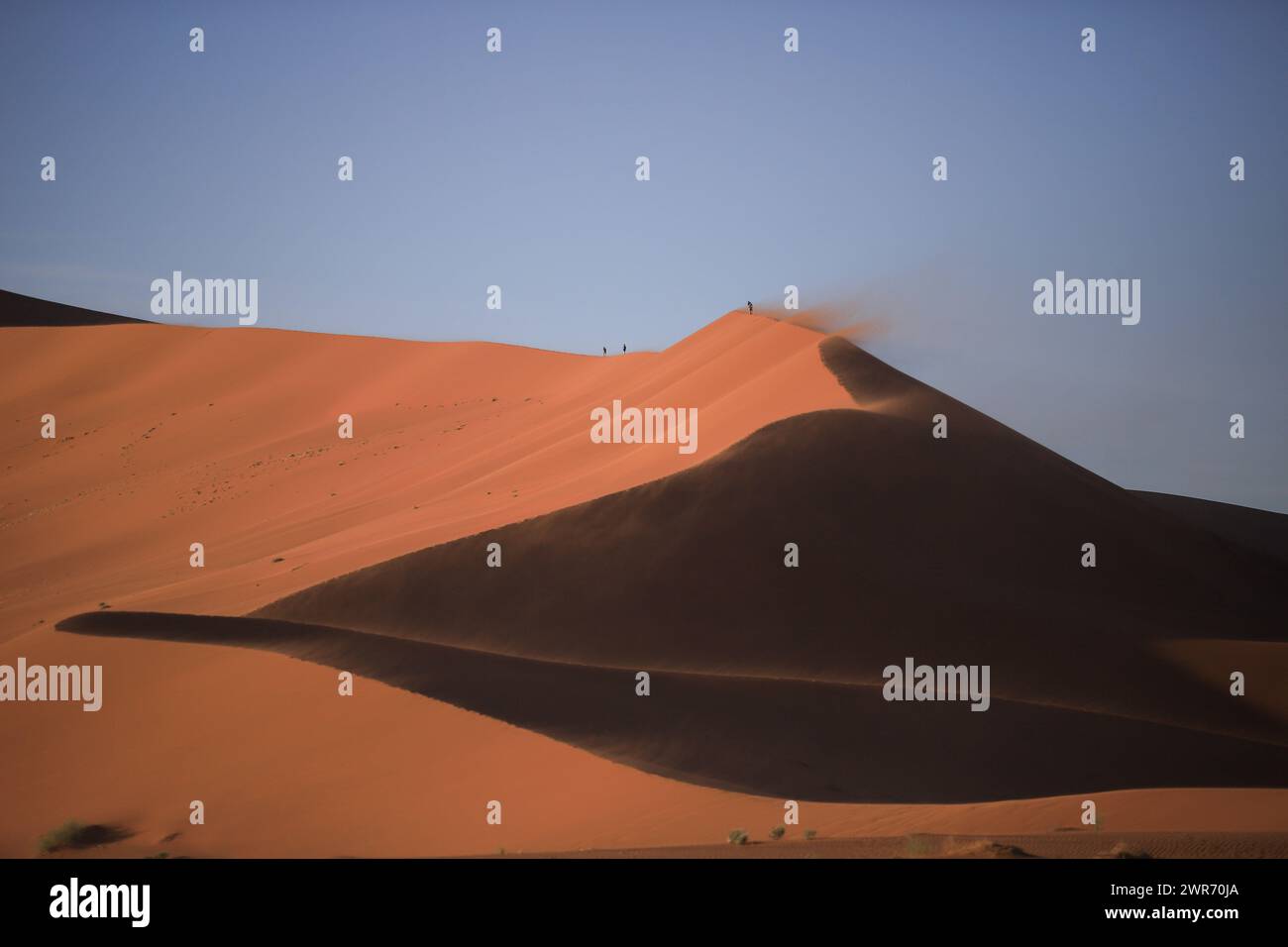 una giornata ventosa sul crinale delle dune di sabbia Foto Stock