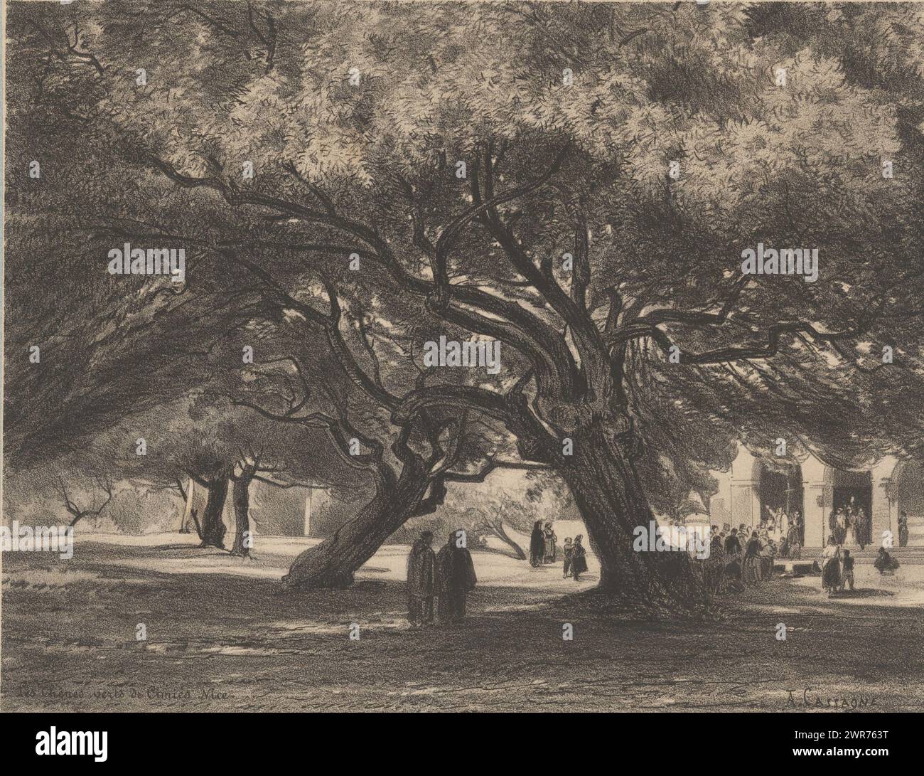 Querce vicino alla chiesa di Cimiez, Les Chênes verts de Cimiés, Nizza (titolo sull'oggetto), paesaggi con villaggi e foreste (titolo della serie), le Village et les bois (titolo della serie sull'oggetto), all'ingresso della chiesa c'è un sacerdote, che benedice la congregazione., stampatore: Armand Théophile Cassagne, tipografo: Frick frères, editore: CH. Fouraut & fils, Parigi, 1872, carta, altezza 316 mm x larghezza 449 mm, stampa Foto Stock