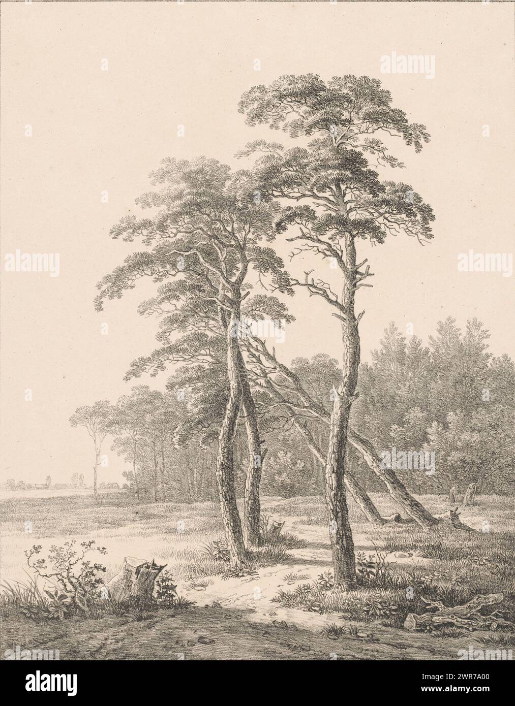 Alberi su una pianura di fronte a una foresta, Tree Studies / 1st Bundle (titolo della serie), Un gruppo di alberi su una pianura di fronte a una foresta. Un villaggio sullo sfondo., stampatore: Adrianus van der Koogh, stampatore: Steuerwald & Co., Dordrecht, 1826, carta, altezza 543 mm x larghezza 452 mm, stampa Foto Stock