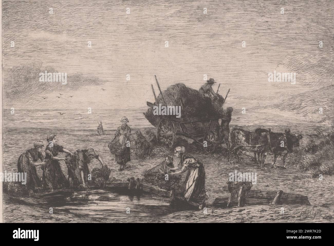 Raccolta di alghe sulla costa delle dune, tipografo: Félix Cogen, 1875, carta, incisione, cartiera, cartiera, altezza 215 mm x larghezza 311 mm, stampa Foto Stock