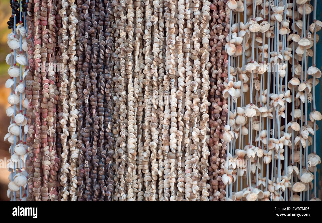 Arte Seashell. Organizza un assortimento di conchiglie per un'esposizione elegante e sulla spiaggia o consegnale come tende per un'atmosfera costiera. . Foto Stock