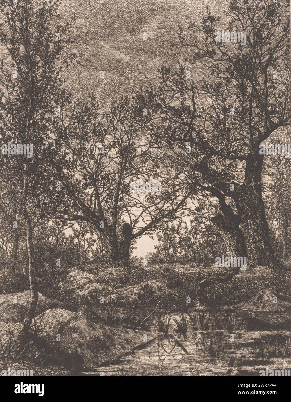 Paesaggio con alberi e paludi, stampatore: Alfred Elsen, 1879, carta, incisione, altezza 293 mm x larghezza 235 mm, stampa Foto Stock