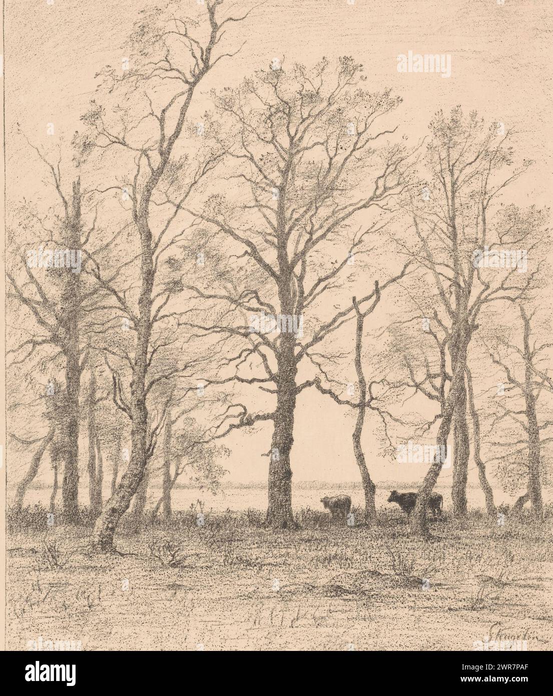 Paesaggio con alberi e due mucche, l'étang derrière les arbres, sotto la scena un ricordo della testa di un ariete., stampatore: Alphonse Stengelin, (firmato dall'artista), 1876 - 1910, carta, altezza 652 mm x larghezza 476 mm, stampa Foto Stock